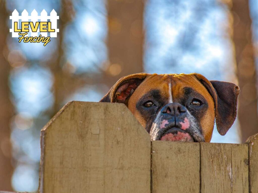Creating safe play areas for children and pets with fence